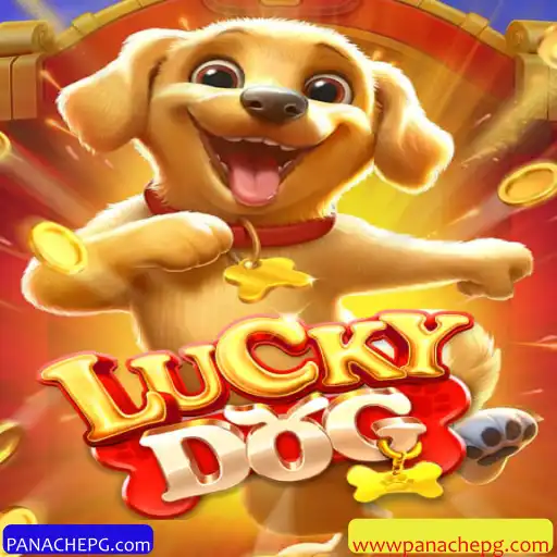 Como Jogar LuckyDog: Regras e Dicas